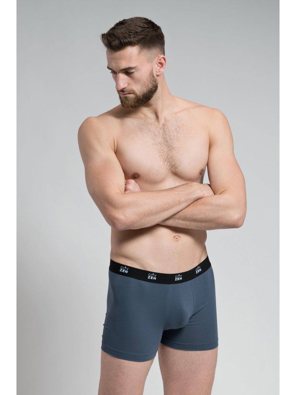 Cityzen boxerky 175946-200 šedá