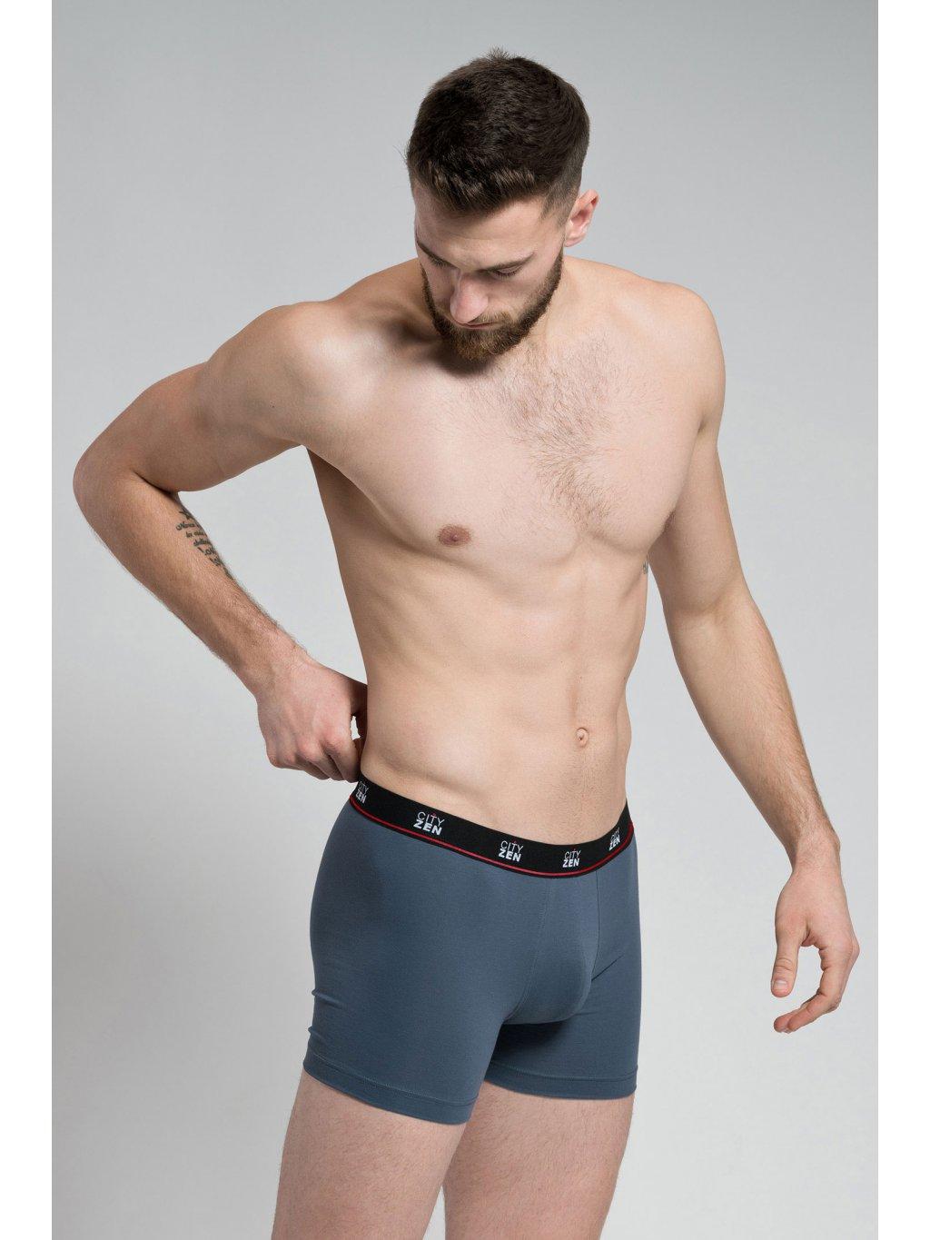 Cityzen boxerky 175946-200 šedá