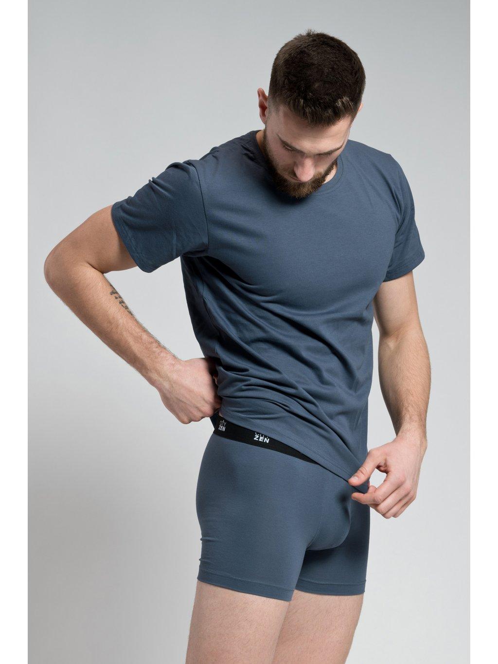 Cityzen boxerky 175946-200 šedá