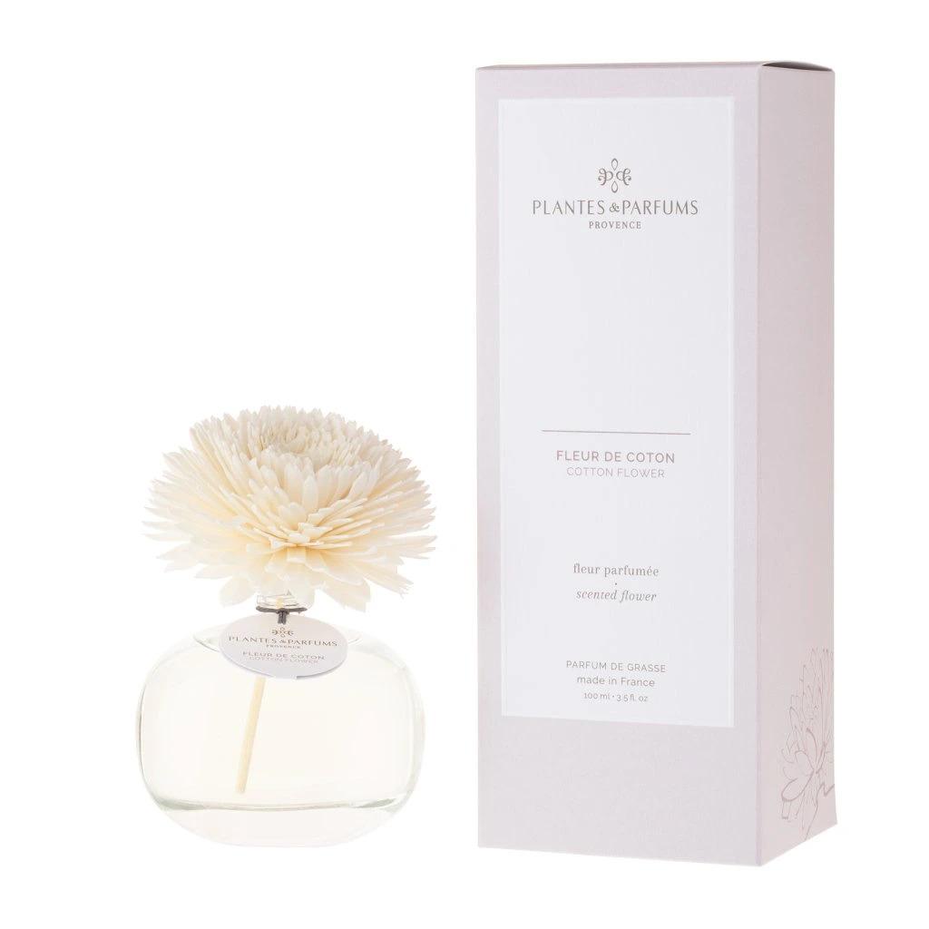 Plantes et parfums de provence cotton cotton flower